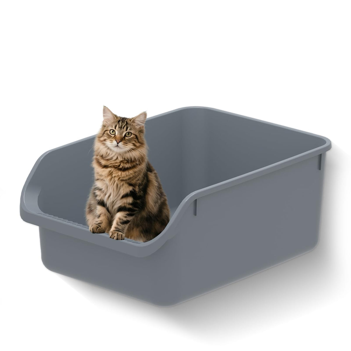 Large High Sided Plastic Cat Litter Box C786975
