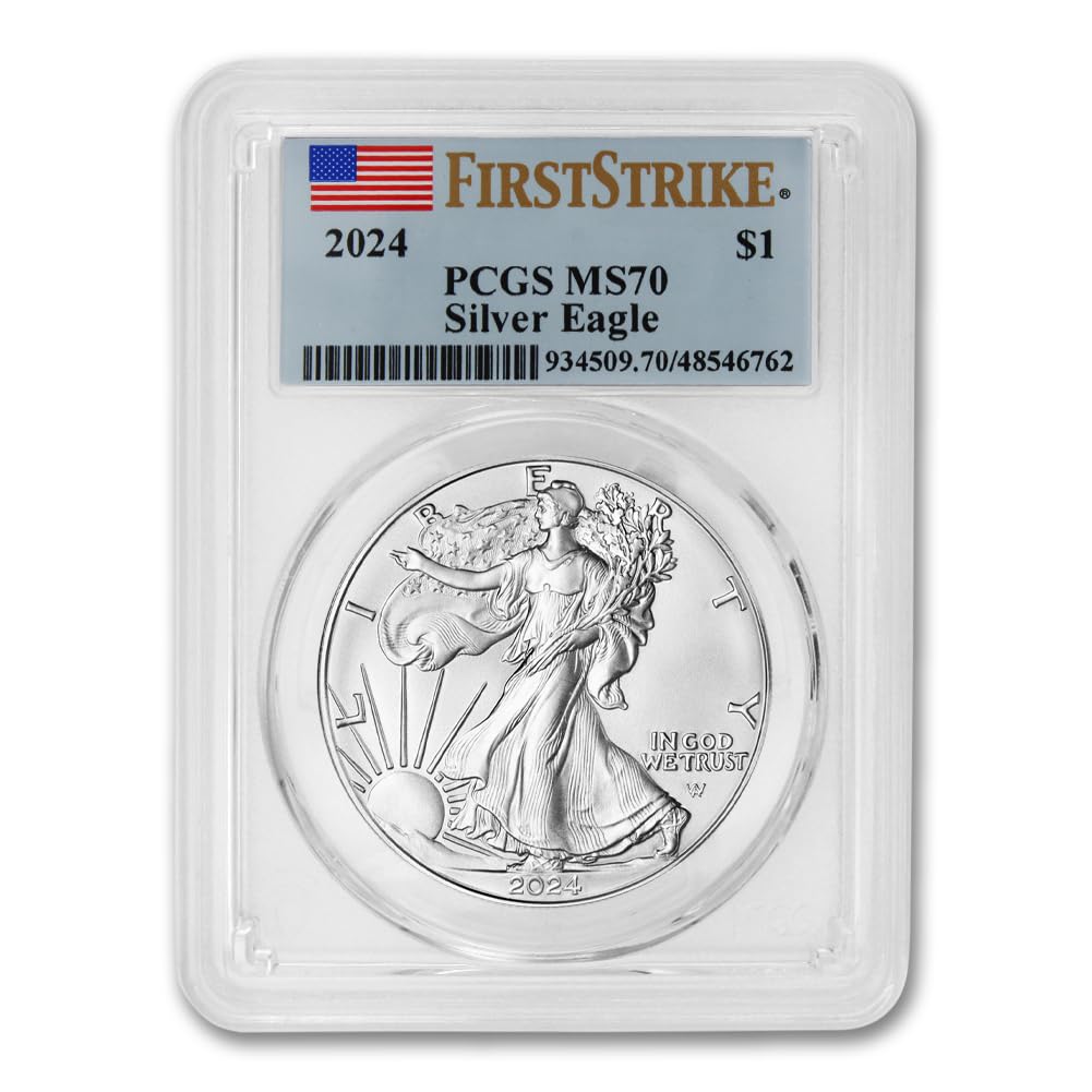 1 oz American Silver Eagle Coin MS-70 D18589