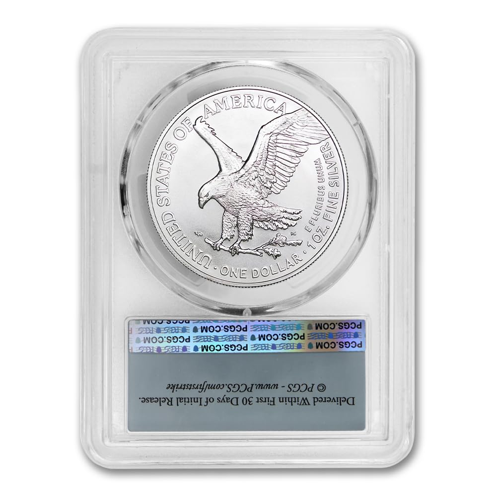 1 oz American Silver Eagle Coin MS-70 D18589