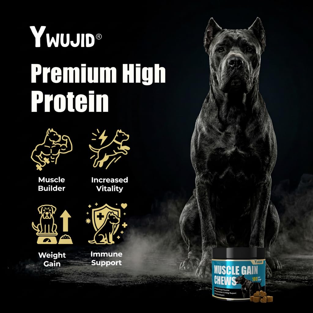 High Protein Dog Weight Gainer Supplements A923282