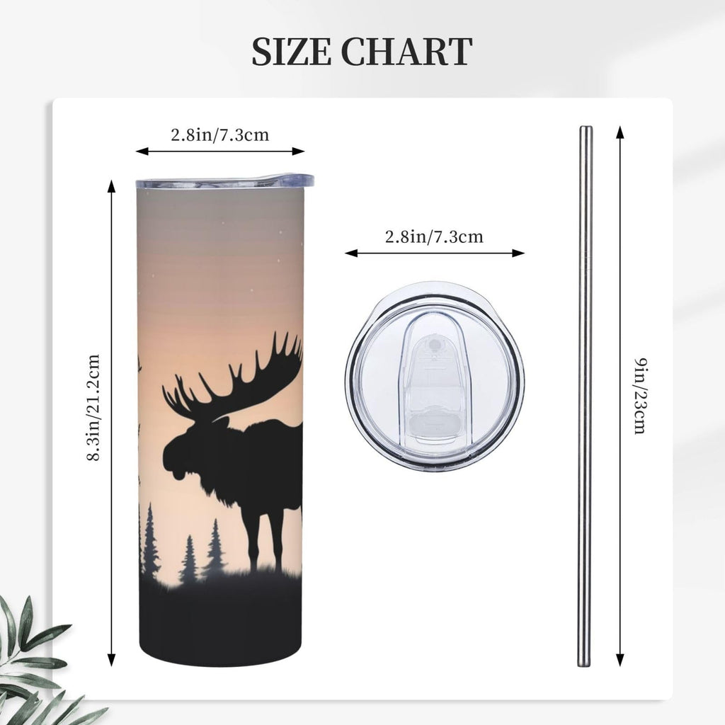 20oz Insulated Stainless Steel Tumbler Q9047