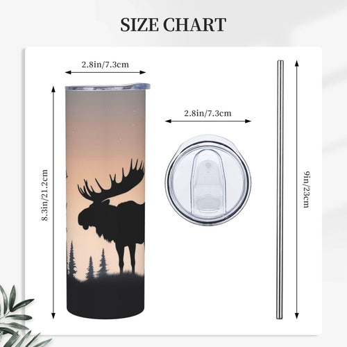 20oz Insulated Stainless Steel Tumbler Q9047