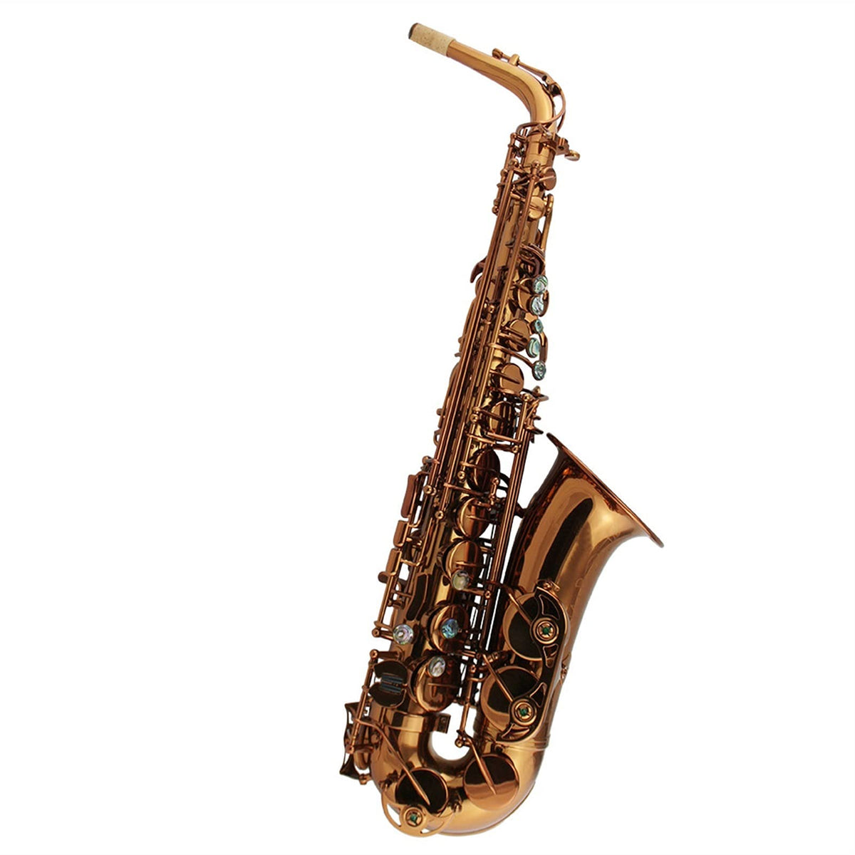 Champagne Golden Alto Saxophone Set J709671