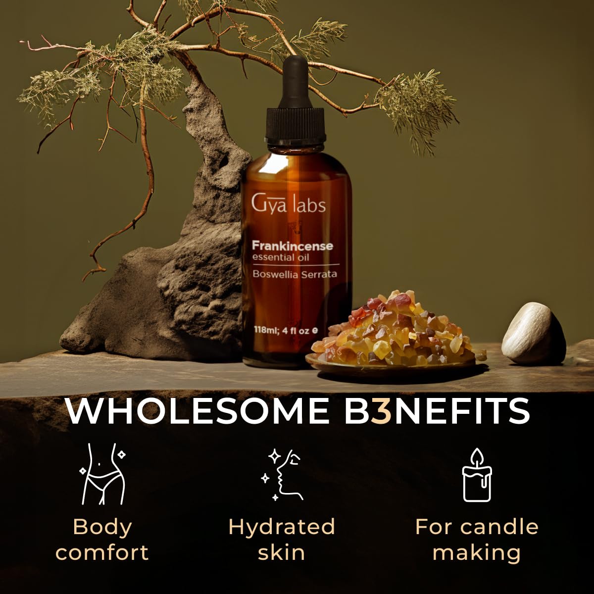Frankincense & Lavender Essential Oil Set 2x4 Fl Oz O396362