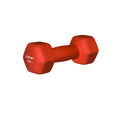 Neoprene Dumbbell Weights Y637761