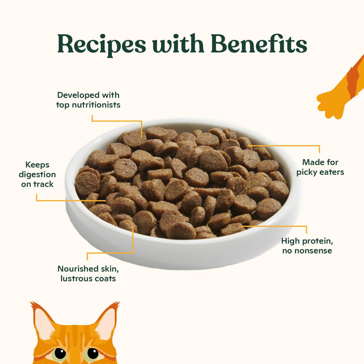 High Protein Grain-Friendly Chicken & Pumpkin Dry Cat Food D1715