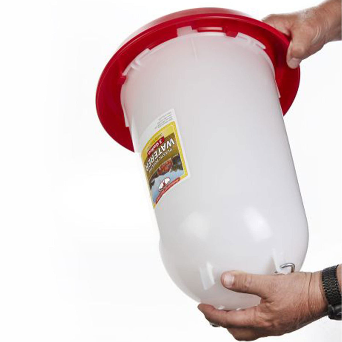 3 Gallon Heavy-Duty Gravity-Fed Poultry Waterer 2-Pack Q906530