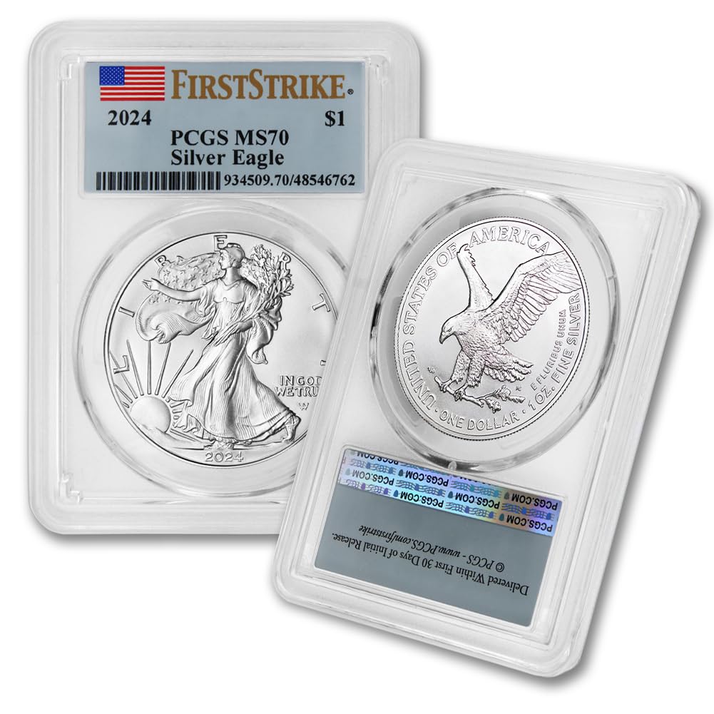 1 oz American Silver Eagle Coin MS-70 D18589