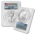 1 oz American Silver Eagle Coin MS-70 D18589