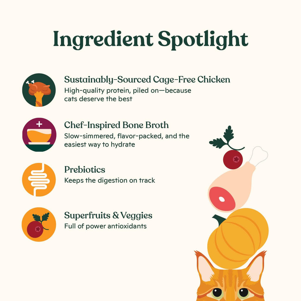 High Protein Grain-Friendly Chicken & Pumpkin Dry Cat Food D1715
