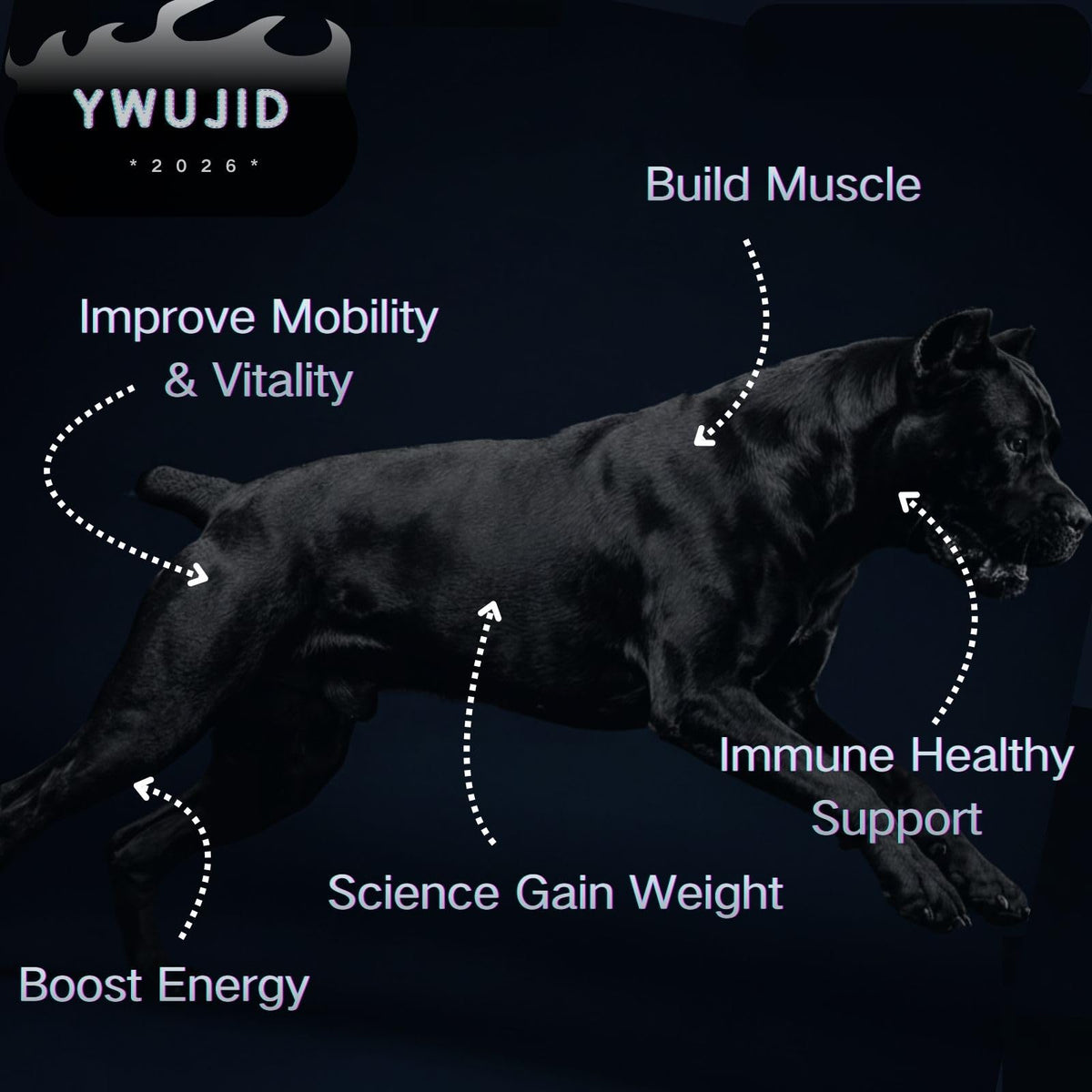 High Protein Dog Weight Gainer Supplements A923282