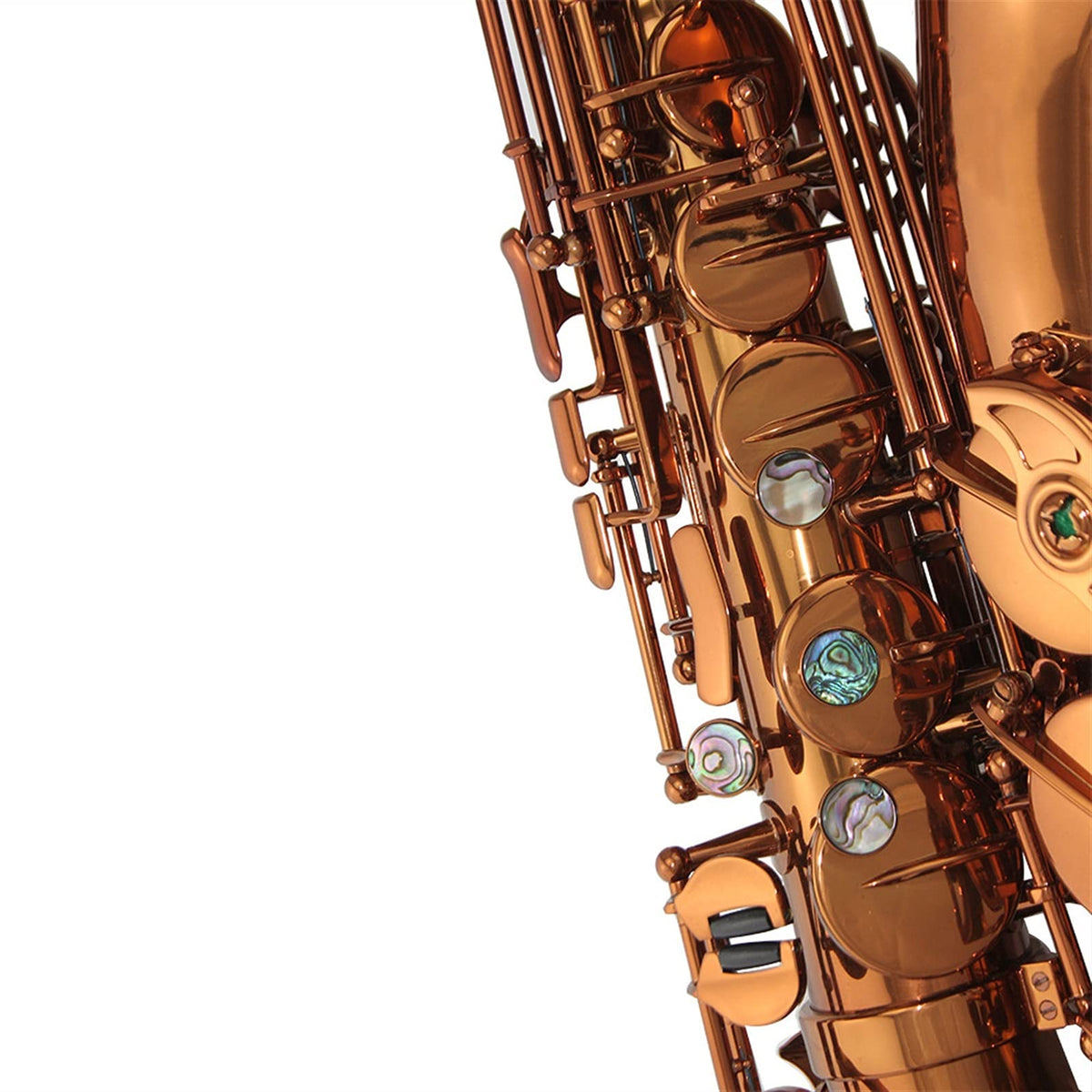 Champagne Golden Alto Saxophone Set J709671