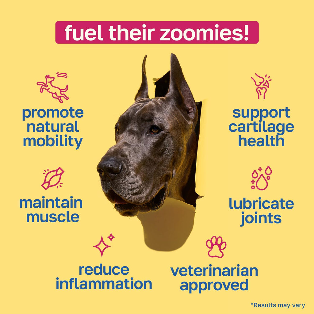 Hip and Joint Supplement for Dogs, 200 Soft Chews U7457
