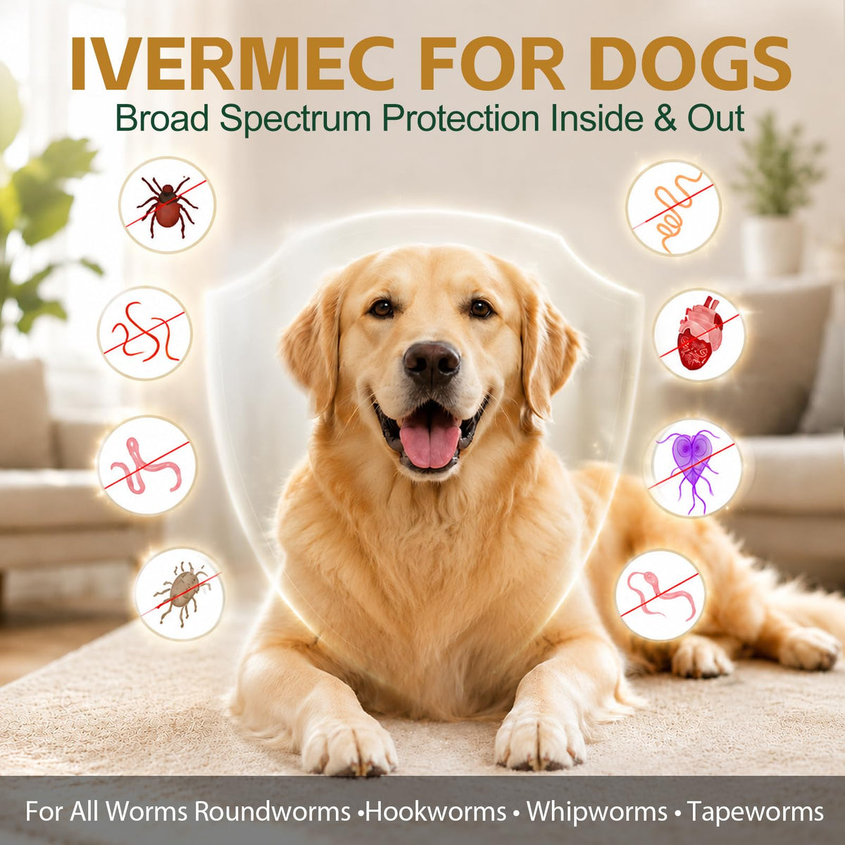 Broad Spectrum Dog Dewormer R855