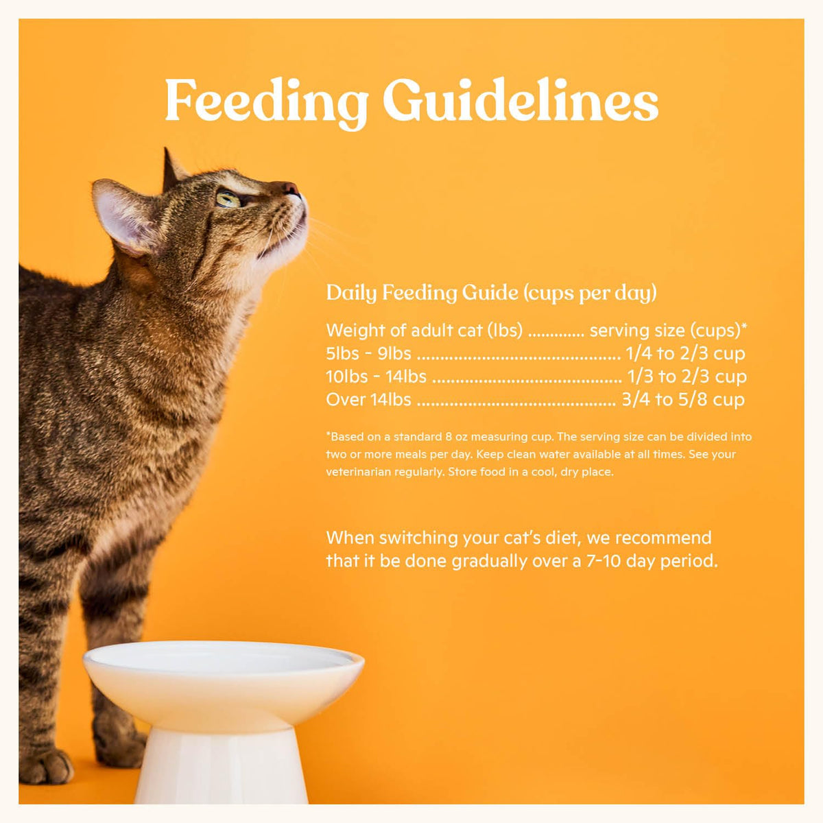High Protein Grain-Friendly Chicken & Pumpkin Dry Cat Food D1715