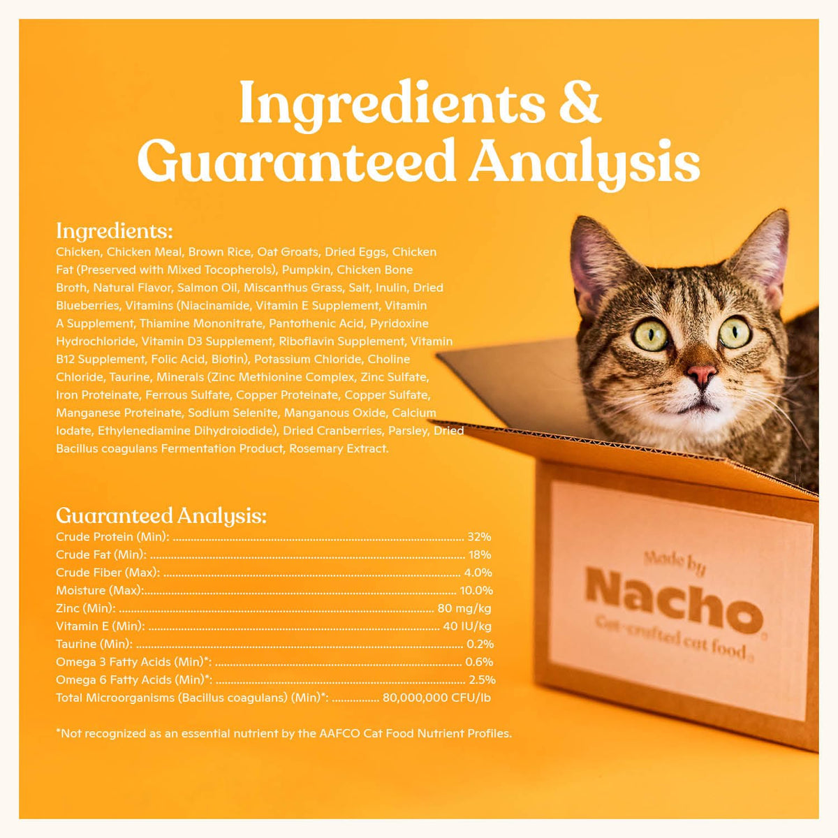 High Protein Grain-Friendly Chicken & Pumpkin Dry Cat Food D1715
