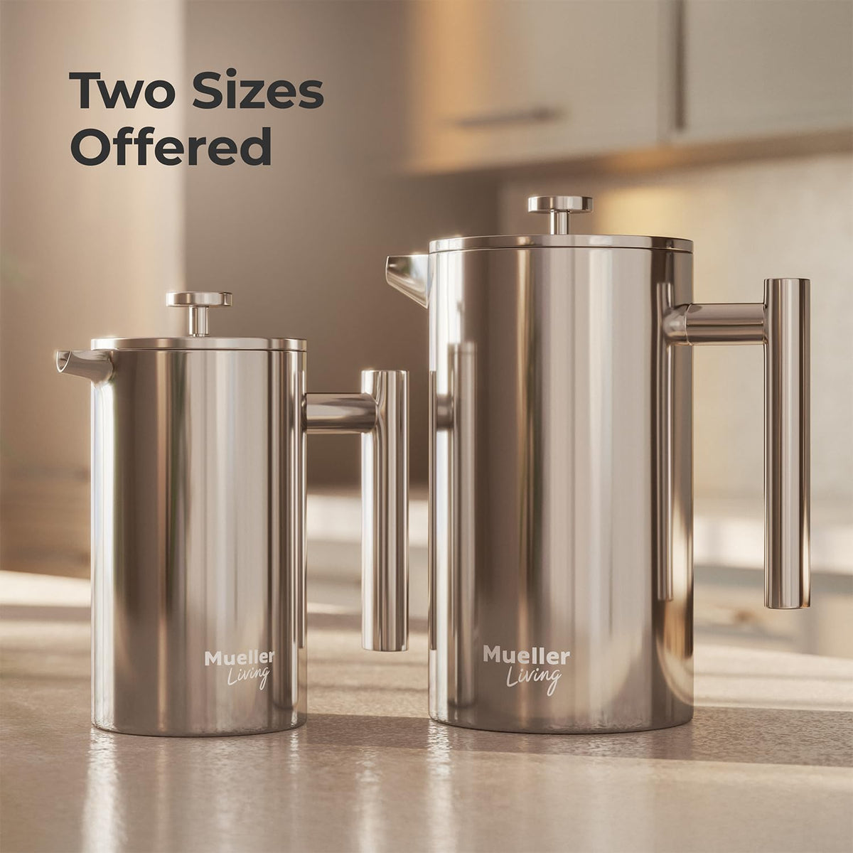 20oz Stainless Steel French Press Coffee Maker H3880