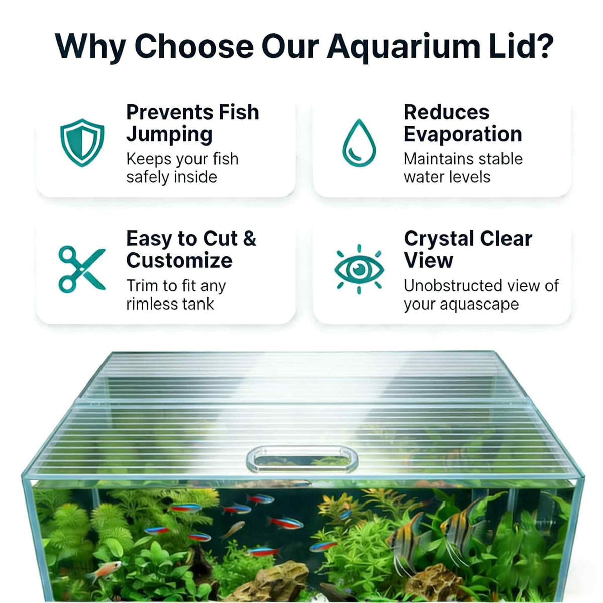 Clear Polycarbonate Aquarium Lid D20371