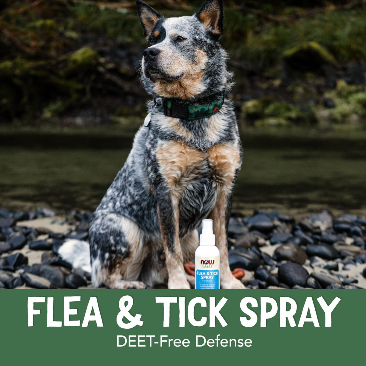 Flea and Tick Spray for Dogs 8-Ounce H861