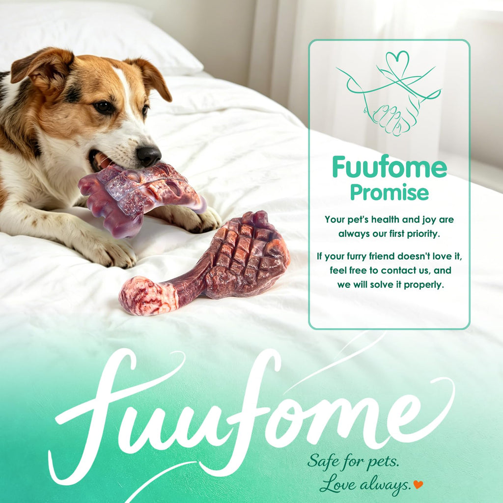 Tough Dog Chew Toys, 2 Pack Hard Nylon Bone T4189