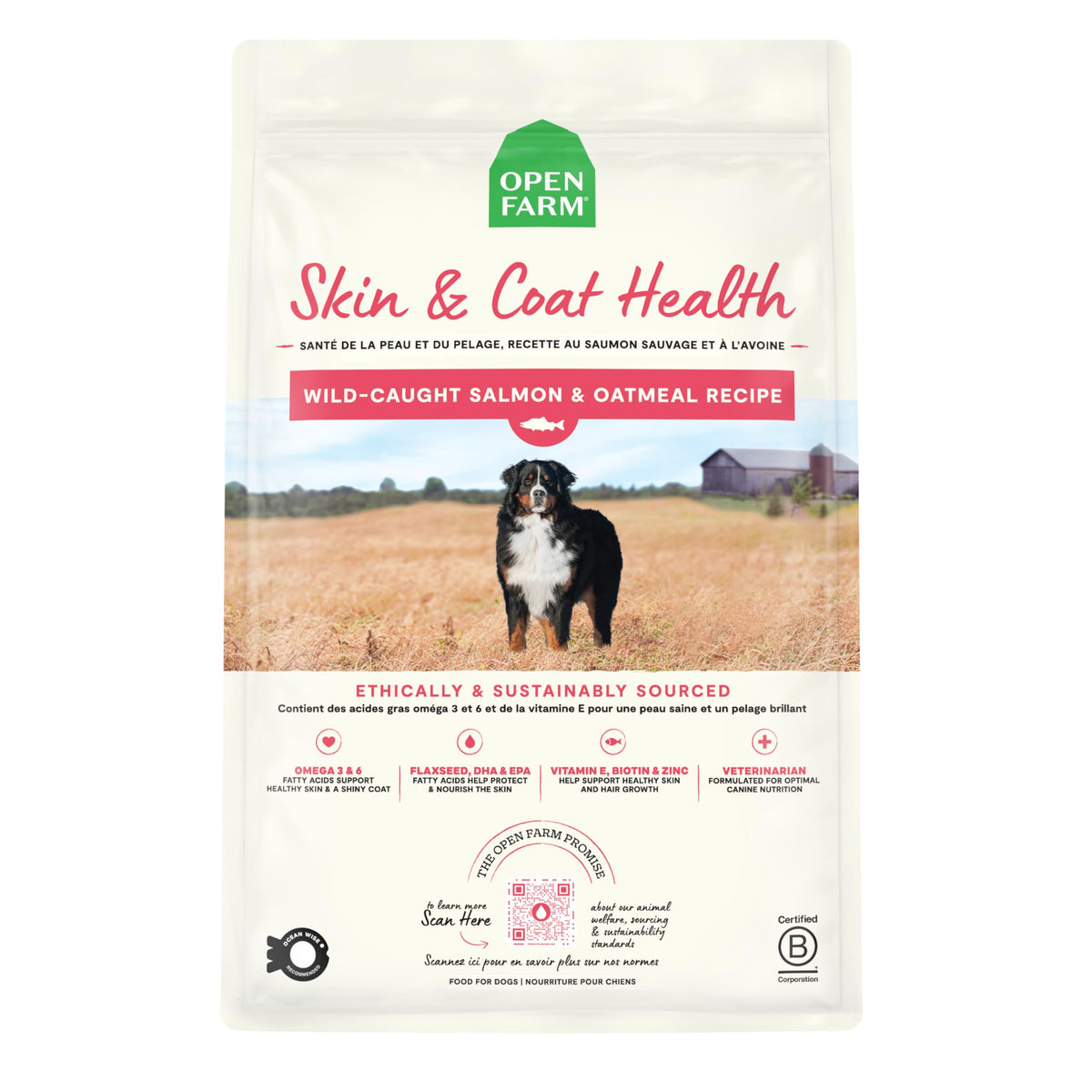 Salmon & Oatmeal Dry Dog Food 4lb Bag F593