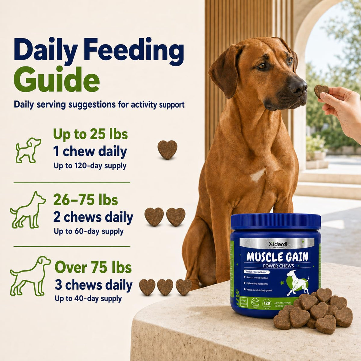 High Protein Muscle Support Soft Chews for Dogs, 120 Count A425853