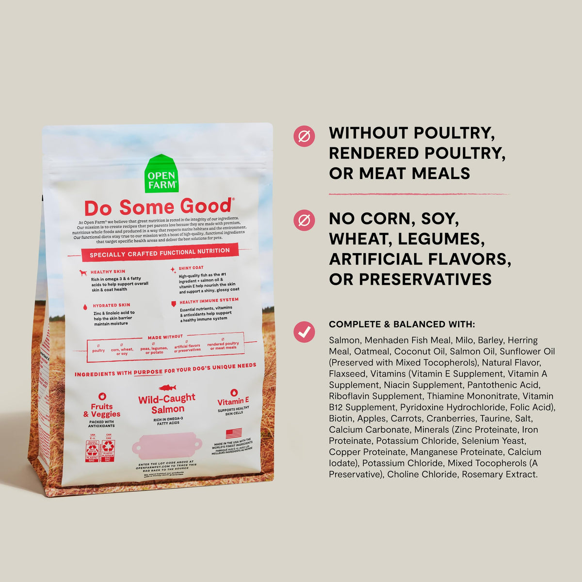 Salmon & Oatmeal Dry Dog Food 4lb Bag F593