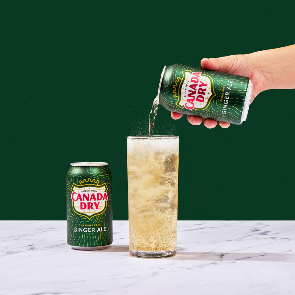 Ginger Ale Soda 12 fl oz 12 pack X12659