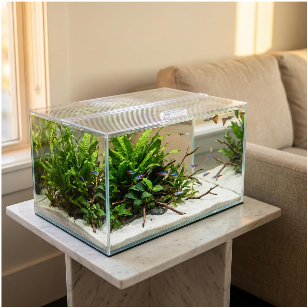 Clear Polycarbonate Aquarium Lid D20371