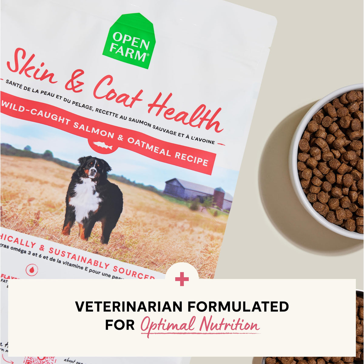 Salmon & Oatmeal Dry Dog Food 4lb Bag F593