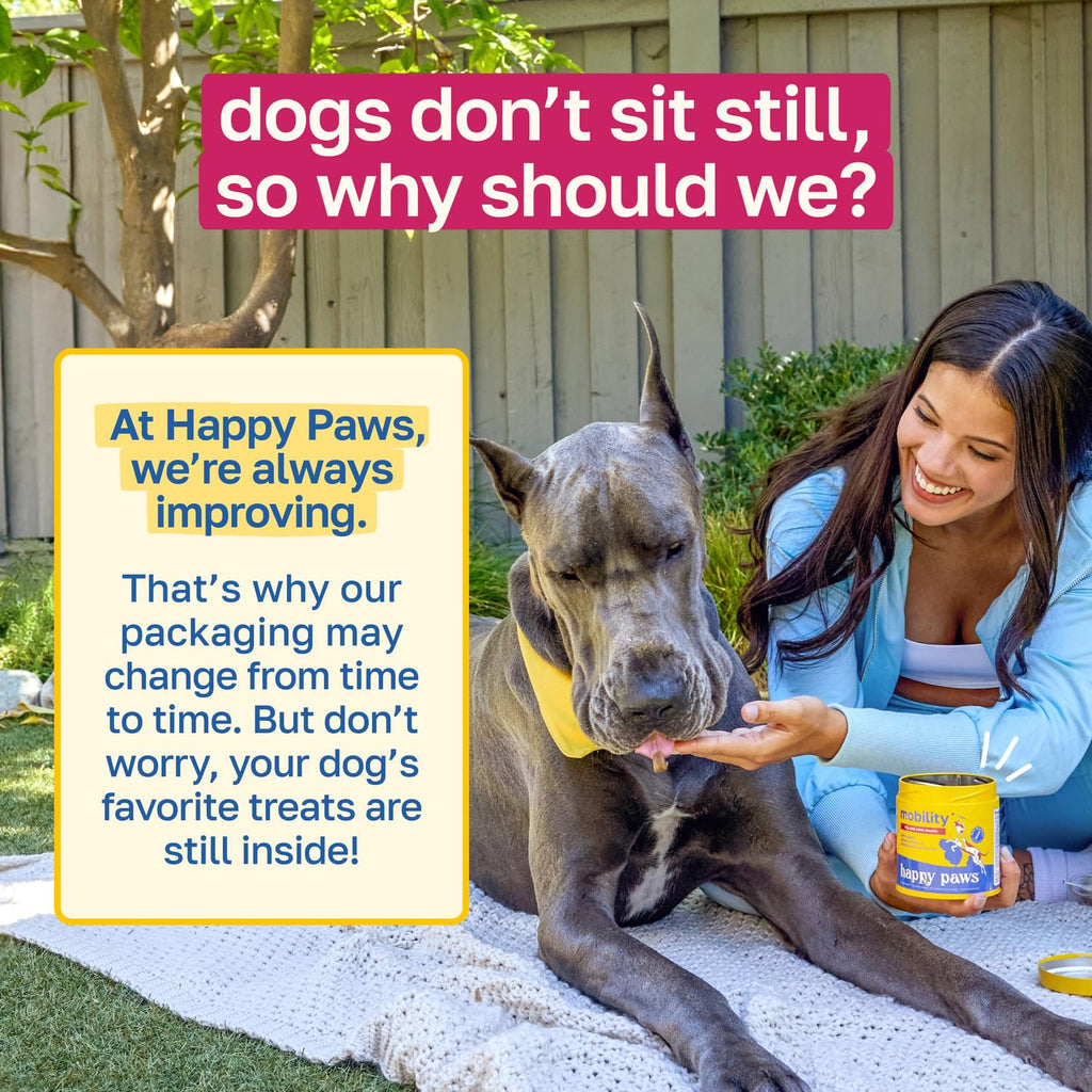 Hip and Joint Supplement for Dogs, 200 Soft Chews U7457