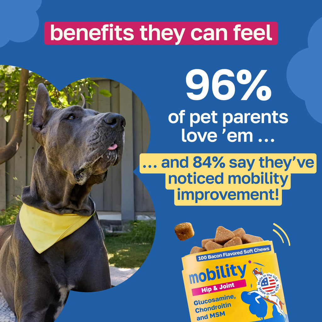 Hip and Joint Supplement for Dogs, 200 Soft Chews U7457
