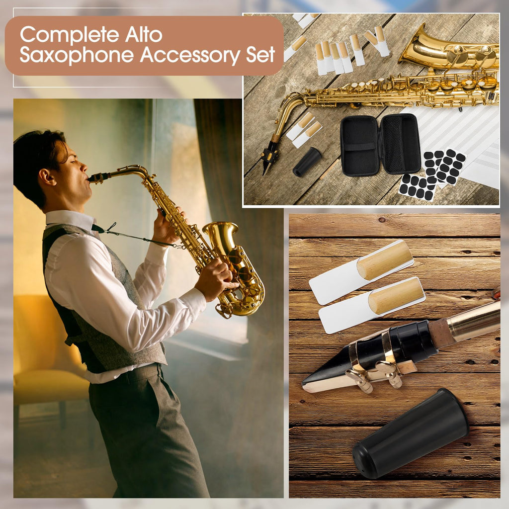 49 Pcs Alto Saxophone Replacement Kit with Mouthpiece Reeds Storage Case U5001