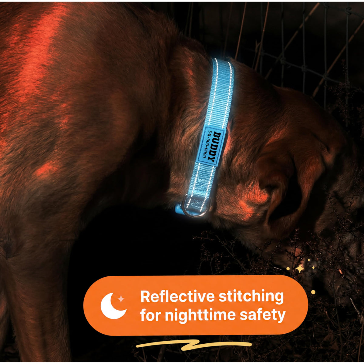 Reflective Nylon Personalized Dog Collar C957534