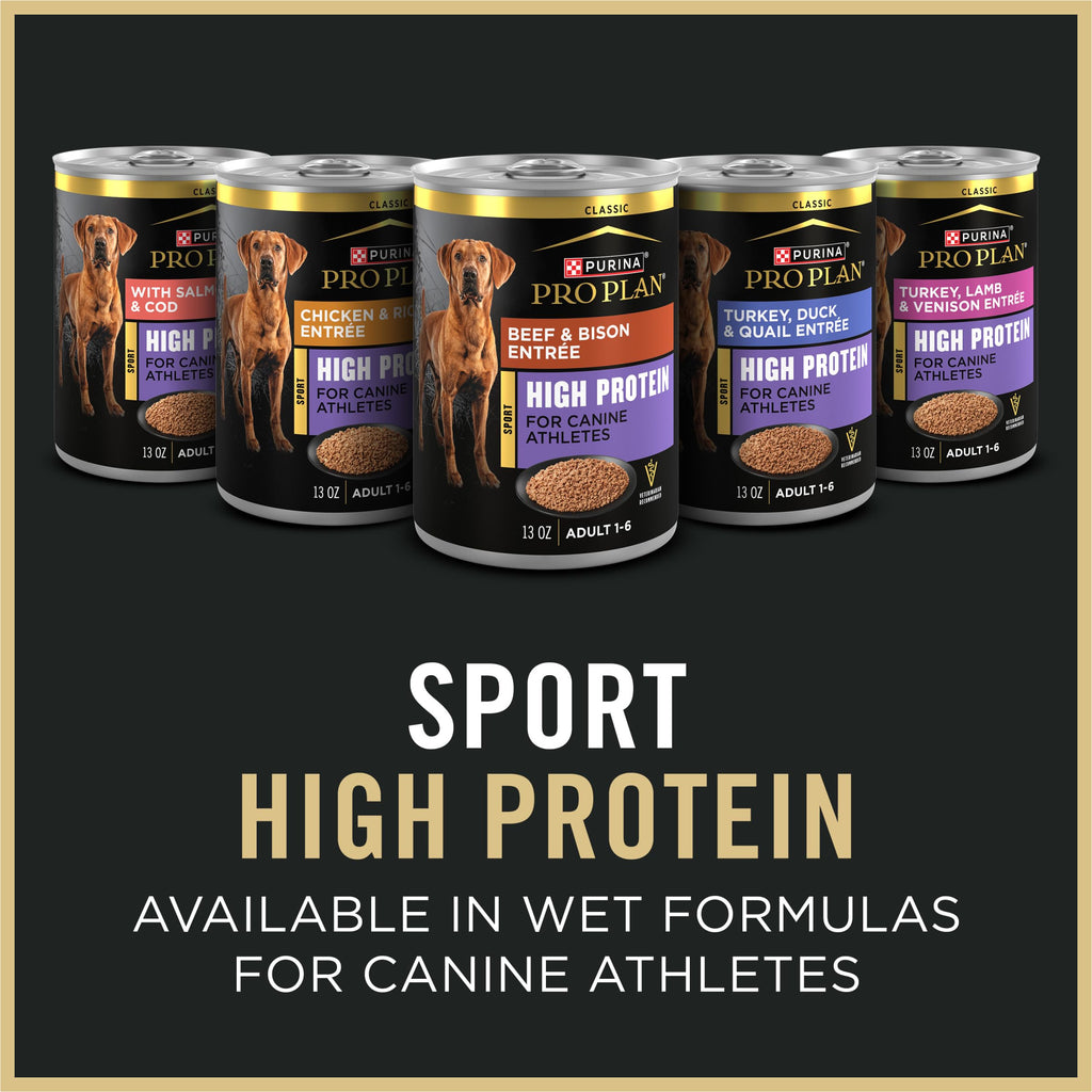 High Protein Small Bites Lamb & Rice Dog Food 37.5 Pound F9889