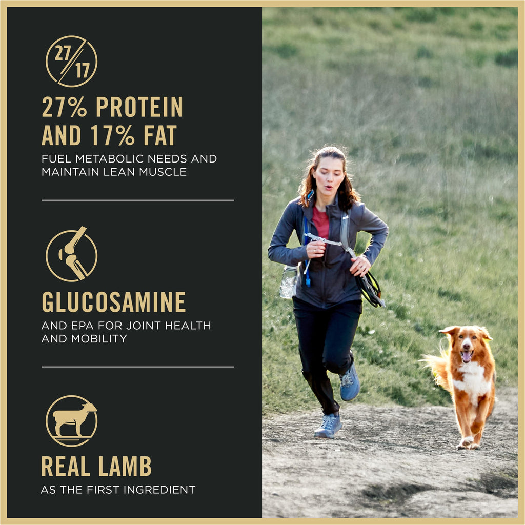 High Protein Small Bites Lamb & Rice Dog Food 37.5 Pound F9889
