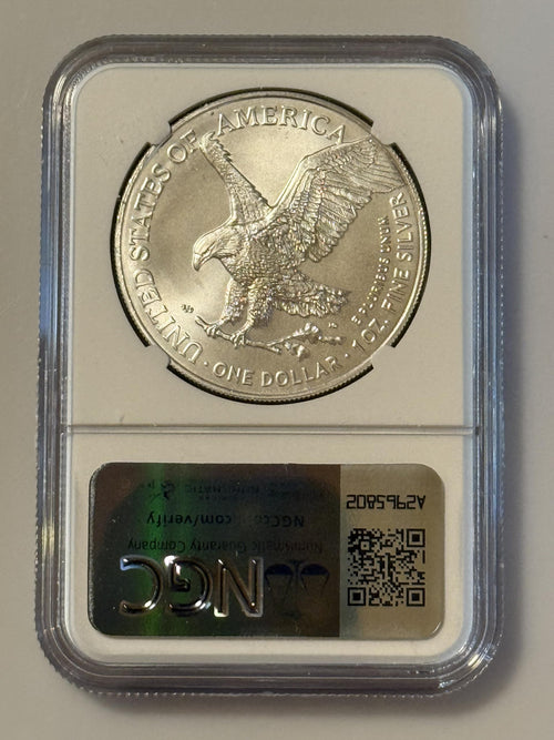 1 oz Silver Coin Y216020
