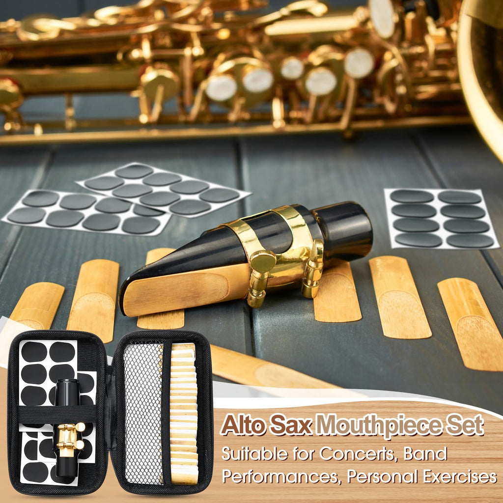 49 Pcs Alto Saxophone Replacement Kit with Mouthpiece Reeds Storage Case U5001