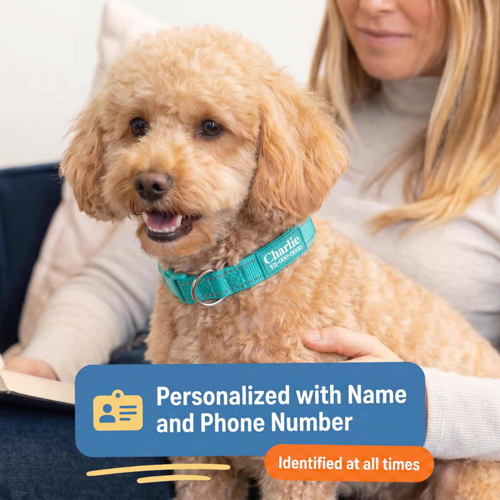 Reflective Nylon Personalized Dog Collar C957534