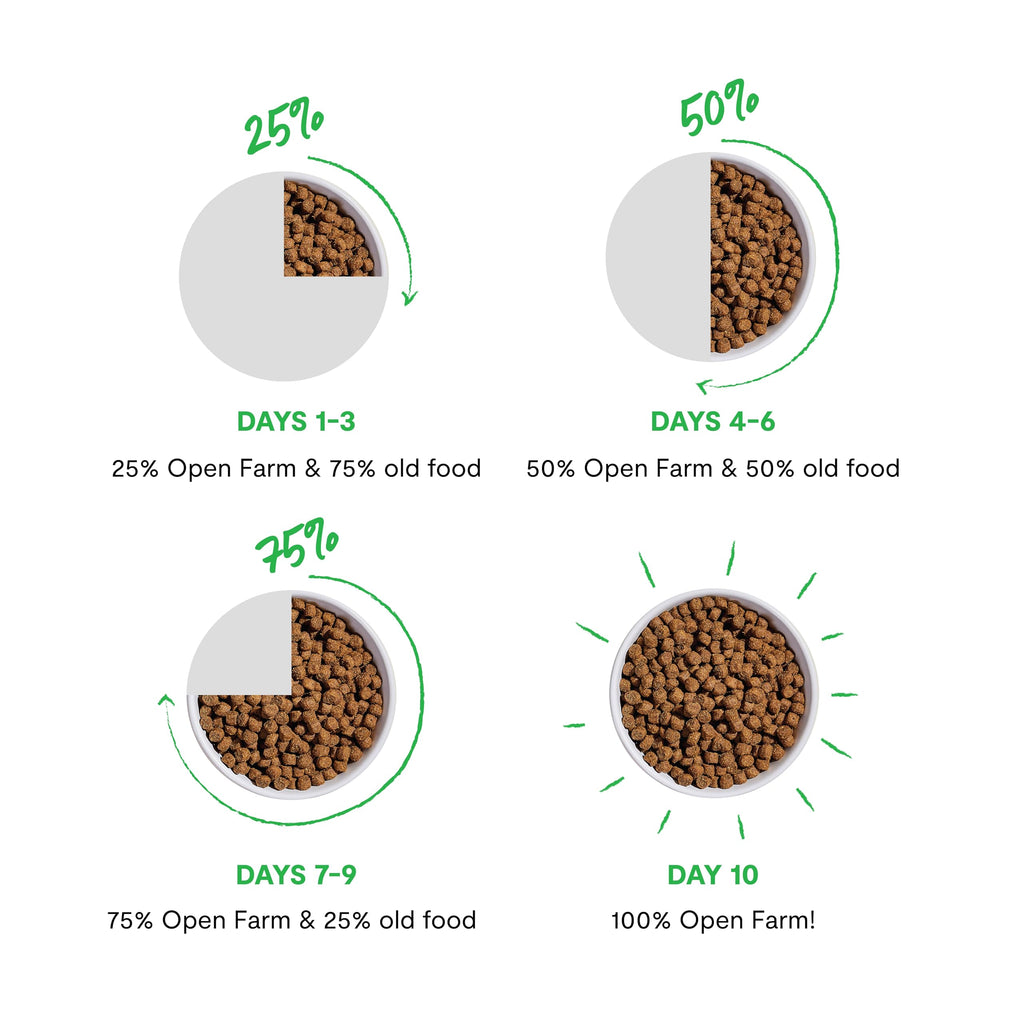 Salmon & Oatmeal Dry Dog Food 4lb Bag F593