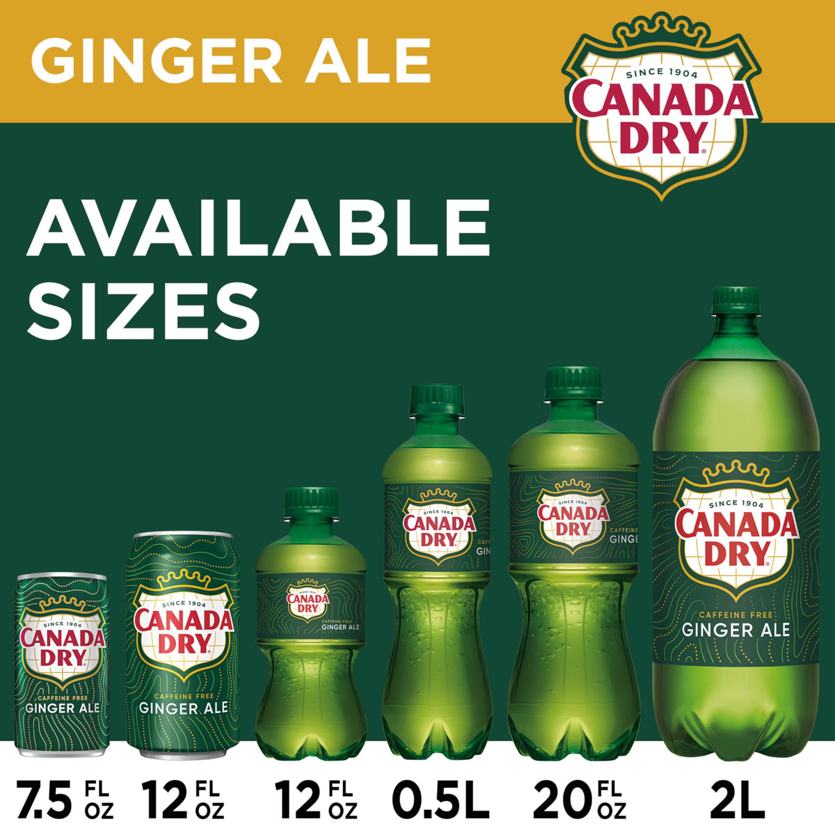 Ginger Ale Soda 12 fl oz 12 pack X12659