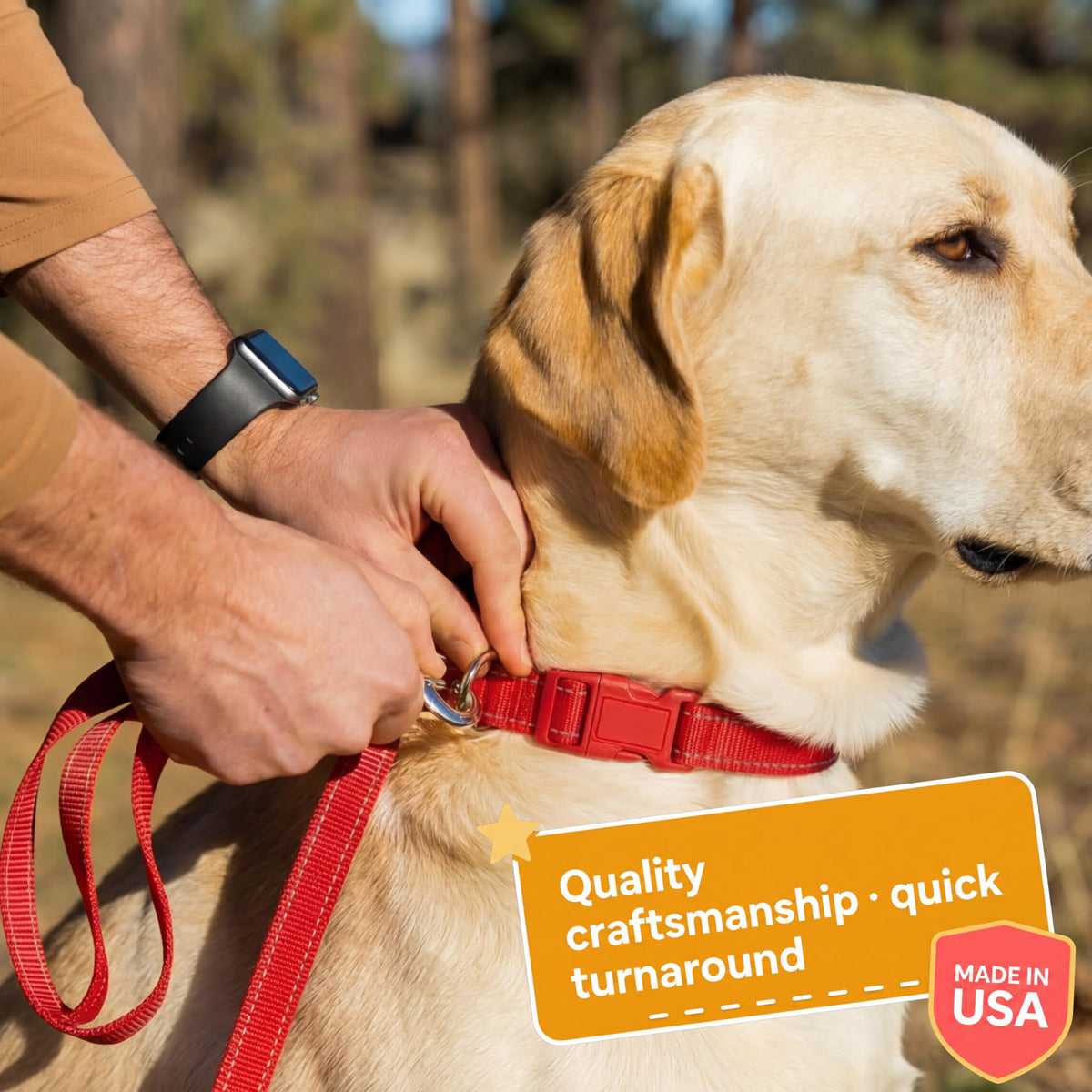 Reflective Nylon Personalized Dog Collar C957534