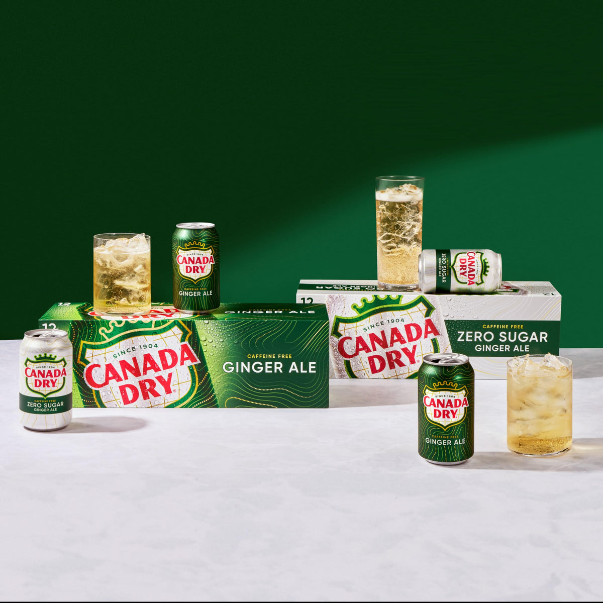 Ginger Ale Soda 12 fl oz 12 pack X12659