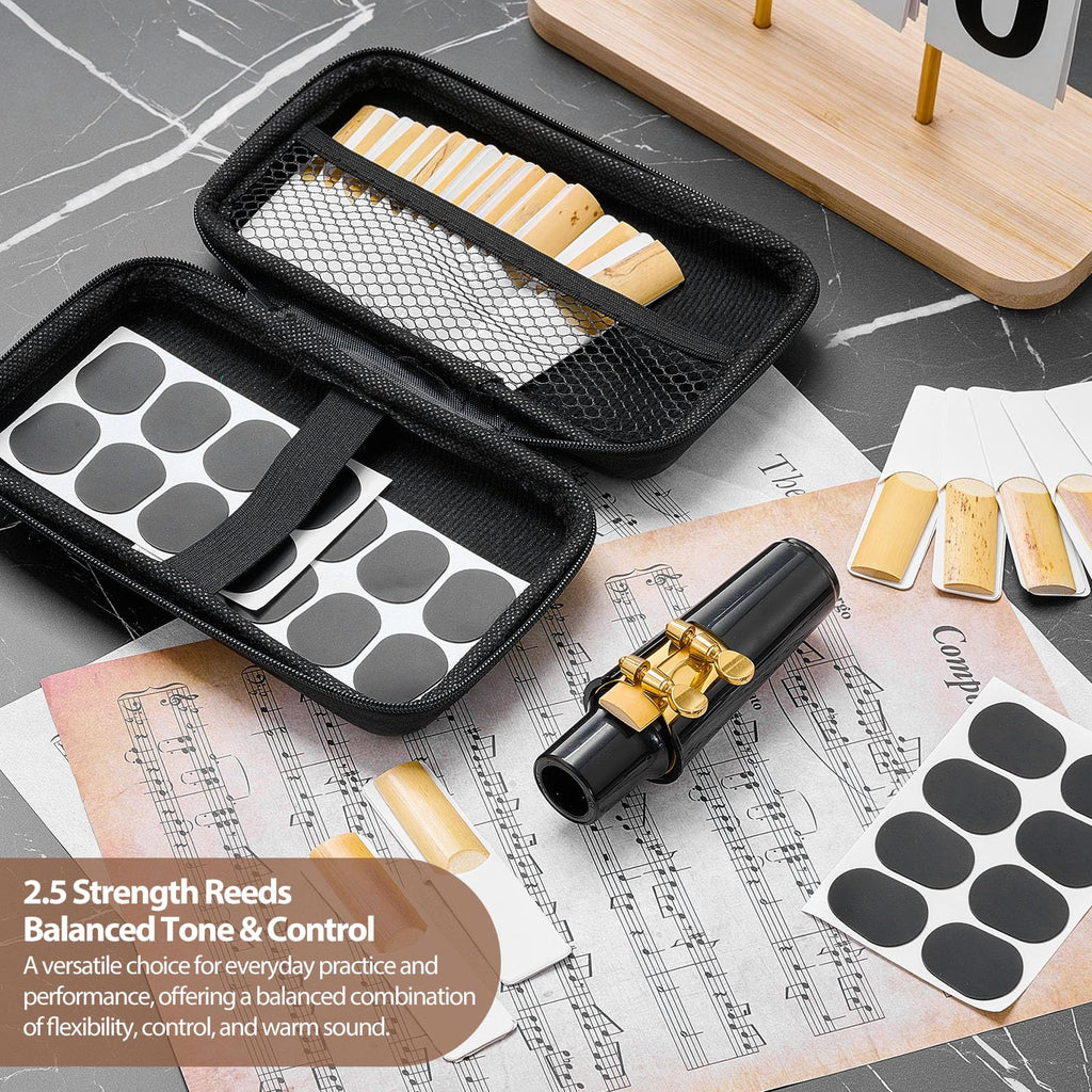 49 Pcs Alto Saxophone Replacement Kit with Mouthpiece Reeds Storage Case U5001