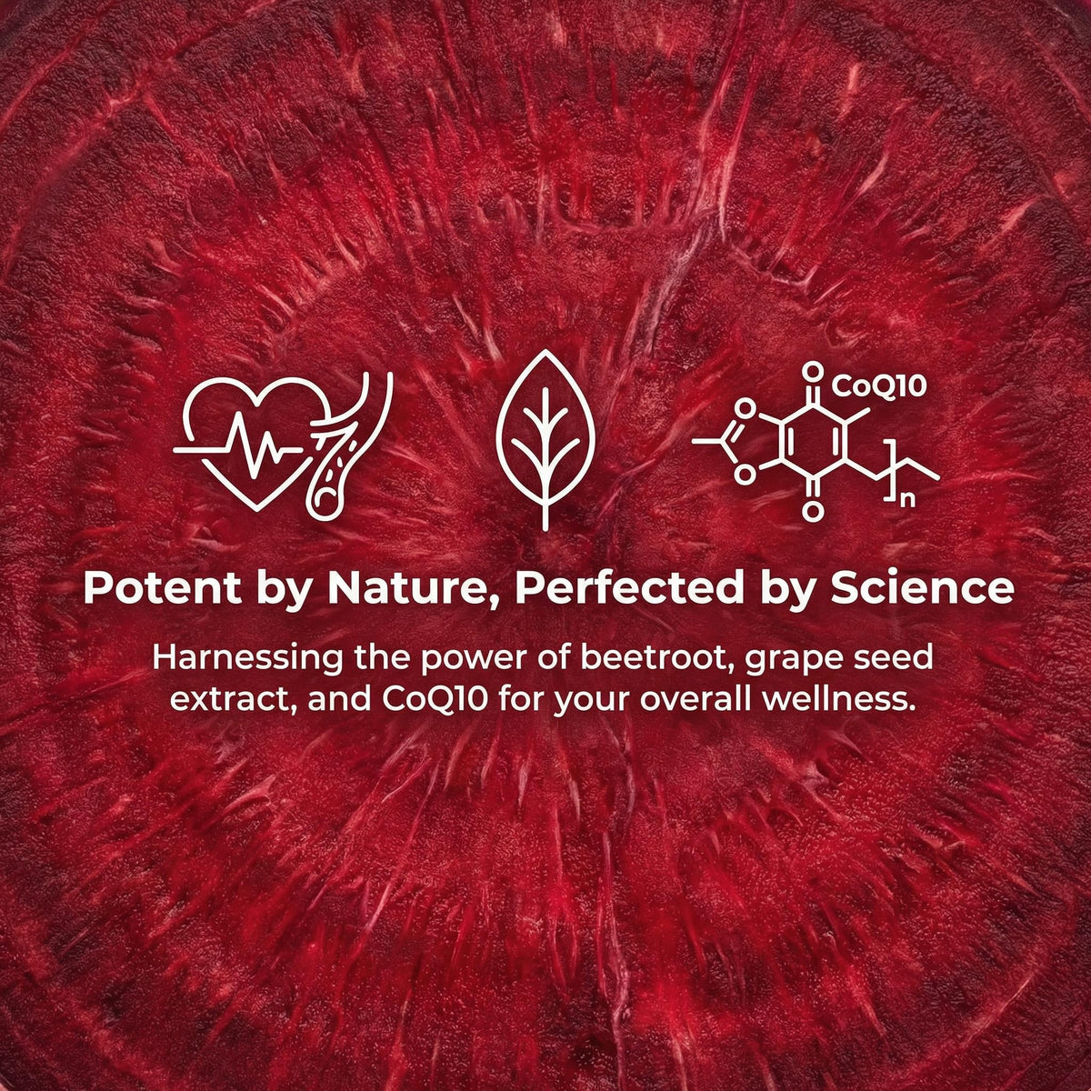 Beet Chews with Grape Seed Extract & CoQ10 - 60 Chews G1563